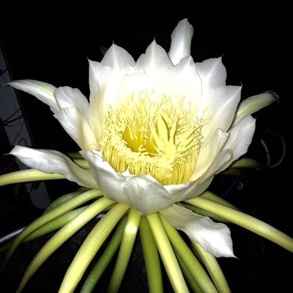 Meet your Poshers, Jim and Margy. - Picture 11 of 13